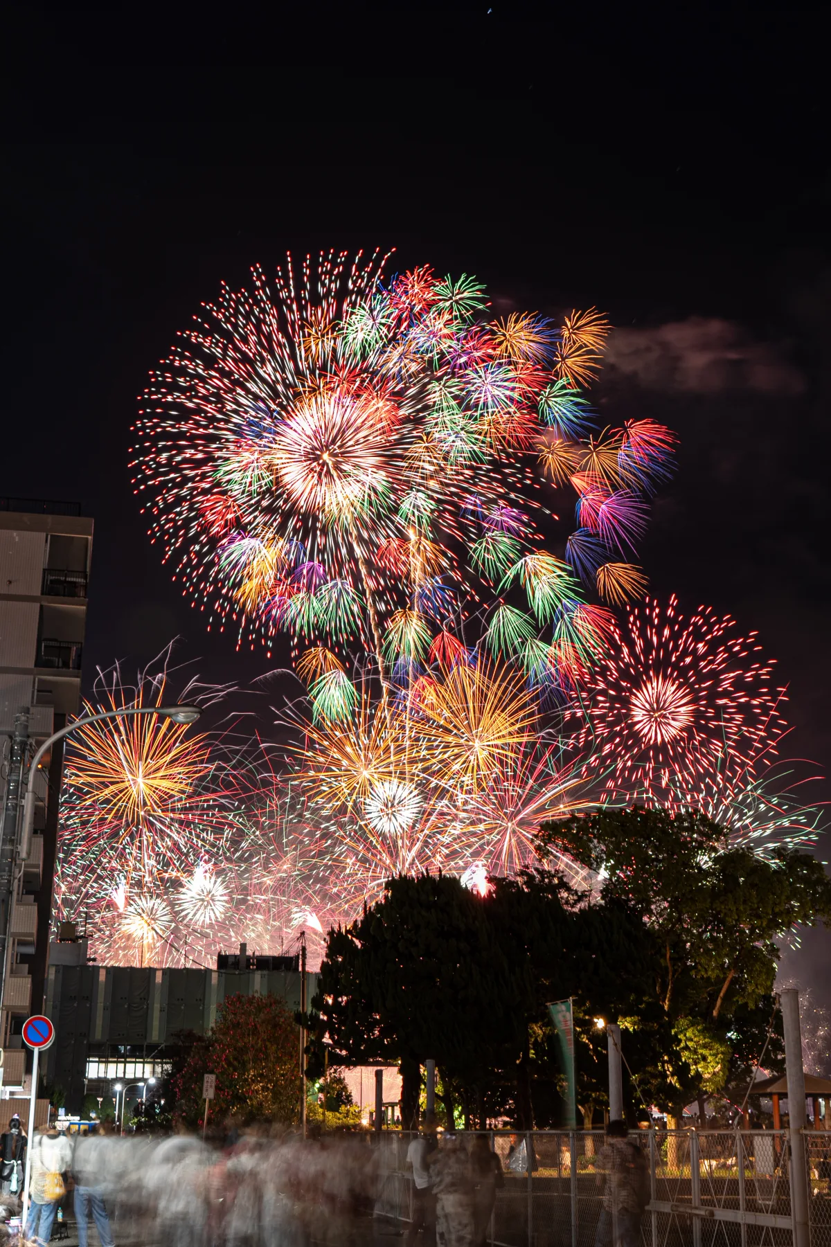 夜空を彩る色鮮やかな花火